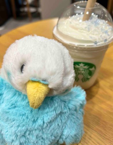 あおちゃんが　おしごと　いくの　しんぱいで　こっそり　かばんに　はいっちゃった
ばれちゃったけど　おしごとおわりに　ふたりで　ふらぺちーの　でーとしたよ！