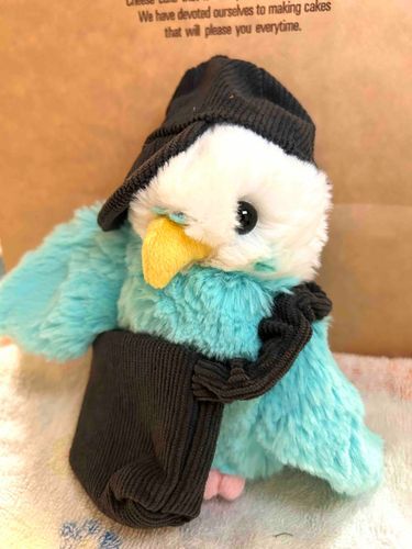 いけいけな　ひよちゃん　でしょ？
これを　きて　おでかけするの　いまから　とっても　たのしみ！