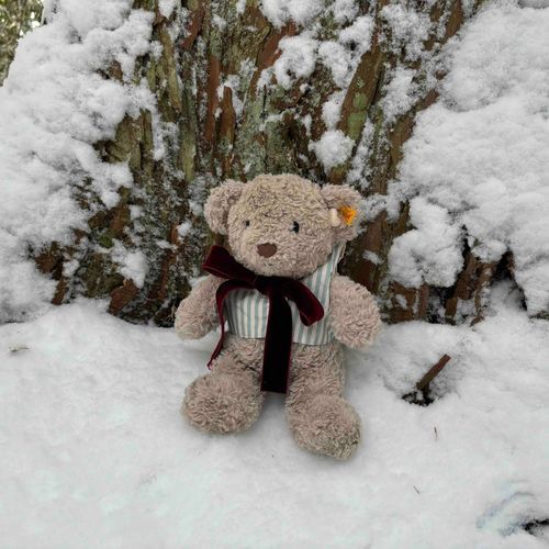 雪と自然の相性は無限大ネー