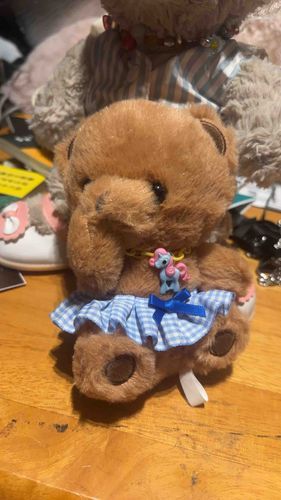 ミエルのおとうと、しょこくんのおめかし