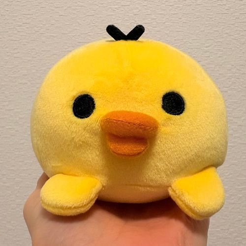 おくちまがりぱや毛界隈