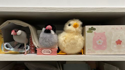 とりちゃんず🐥