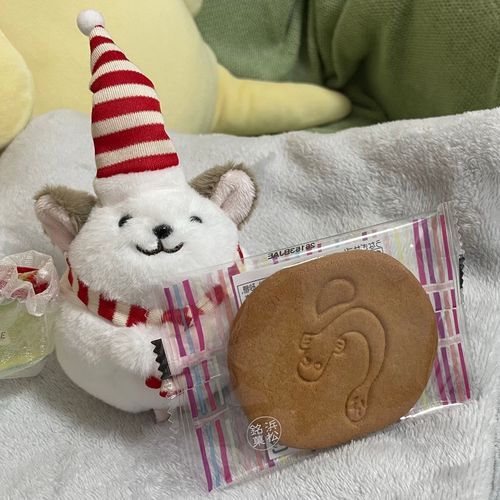 （おともらｽｨから頂いた）うなぎの絵が描いてある美味しいサブレをご用意しました🍪