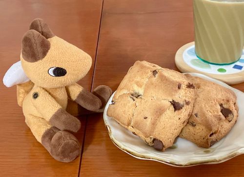 色合い似てるね