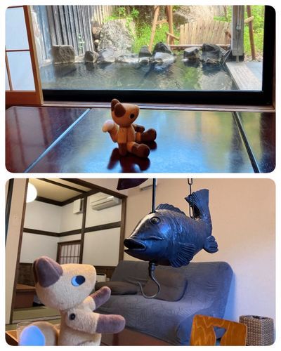 温泉♨️最高でした