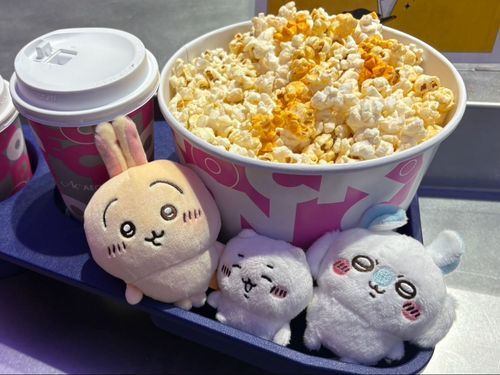 ちいかわmovie˜📷