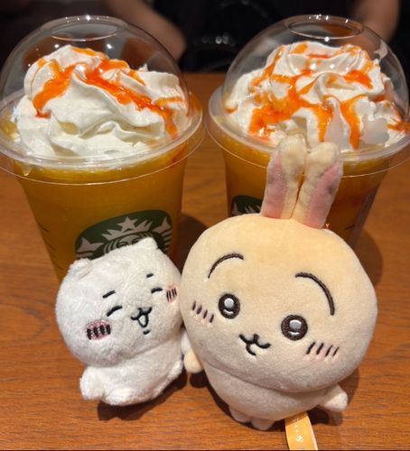 🍊🍹🧡