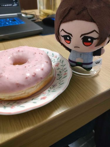 初投稿。
お迎え記念に撮ったものです。