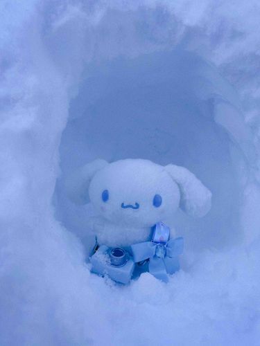 かまくらのなか　ひんやりしてて　げんそうてきだね。

みんなの　えいきょうで　おしゃしん　たのしくなってきたよ。