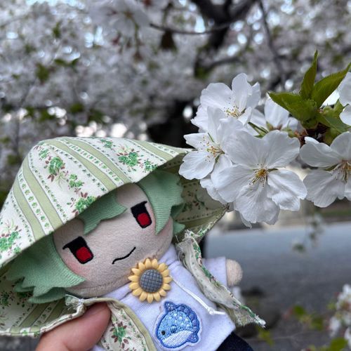 桜満開だったよ！