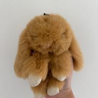ハル