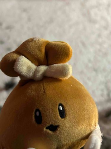 モチモチ　モチキン
雪　はじみぃてぃ見たわ