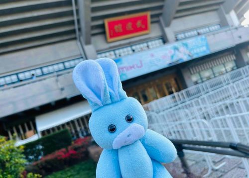 うさじはこないだ ぶどうかんのしたみを してきたの
いつかライブやるから さ
そのしたみって ワケだぜ。