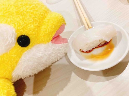 ばーすでー だよ🛟

きょう は おすし なのー！🍣🍣🍣

ばーすでー の いかちゃんᔦꙬᔨ✨️
おいしそ でしょ？ あげなーいよ！