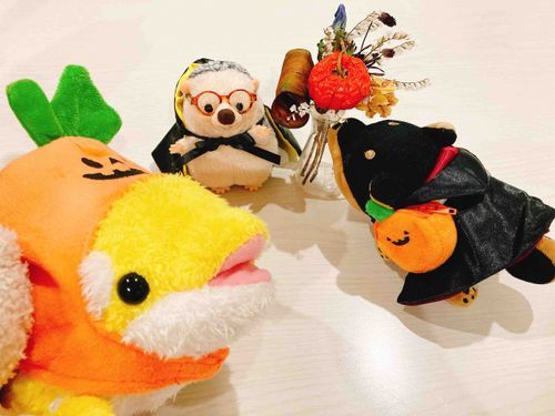 はろうぃん たのしみ〜🎃🌙👻