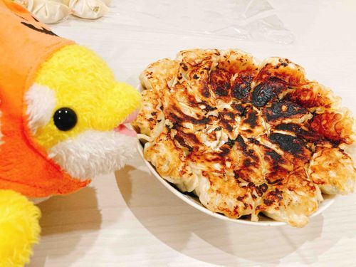 ぎょーざぎょーざ🥟✨️