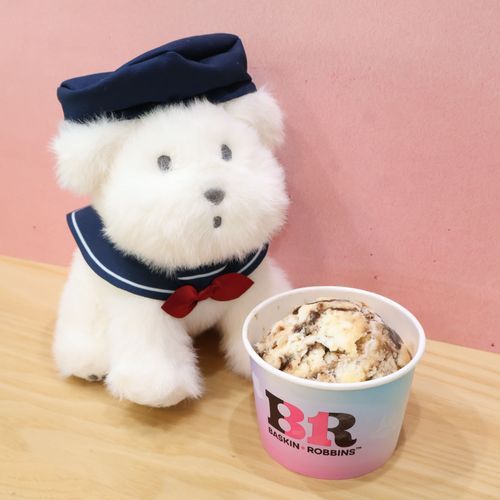 サーティワンのホワイトティラミスうまっ！ってぬしがいってた
…ぼくはもらってないような