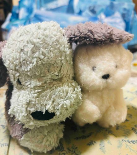 ひつじいぬと弟のガイネン(ひつじいぬの概念からやってきたよ)