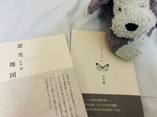 僕は詩がすきなんだなあ📕すてきなほんをよんでるよ