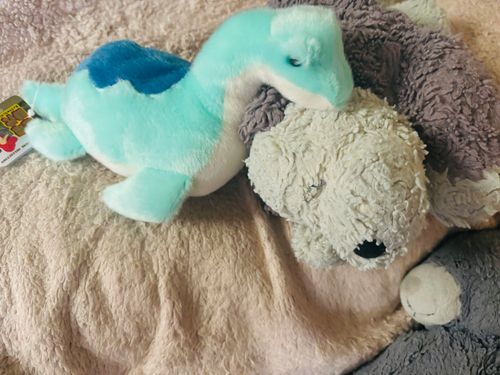 ふわふわのお友達がやってきた！きょうりゅうさんかなあ🦕