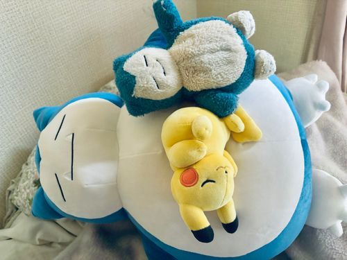 とっても大きなお友達がやってきた！！！おなかのうえでみんなすやすや💤しあわせだあー！