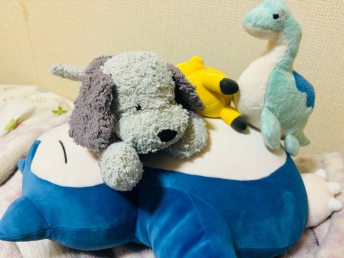 僕もおなかにのせてもらったよ！ふかふか落ち着くなあ〜ぽふ🐕‍🦺