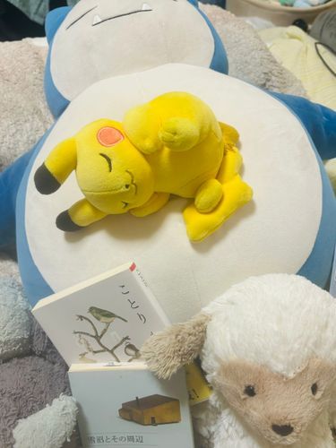 ねえねえつかれてるんでしょ、僕達とゆっくり本でも読もうよ📕🧸