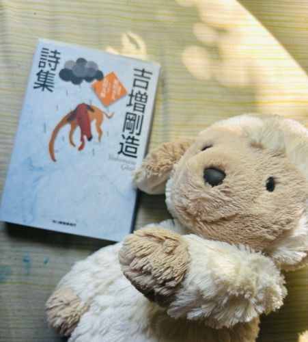 このきれいな日だまりを見られるのもあとすこしだね、もうすぐまたまた入院だよ🐏