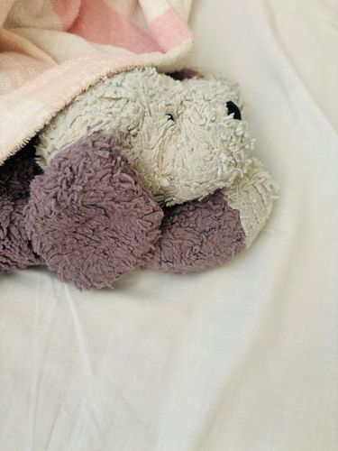 僕達、入院の付き添いをしてるよ！おだやかな日々だよ🐾