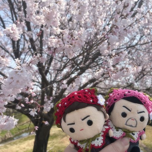 でぇごさんと おはなみ🌸