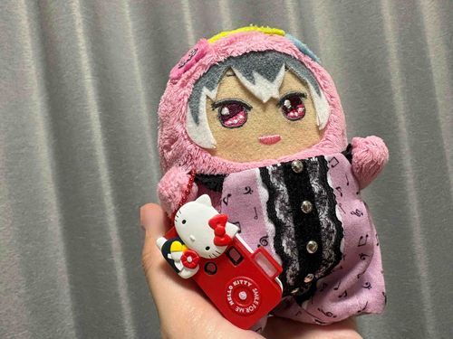 かめらをかったよ📸