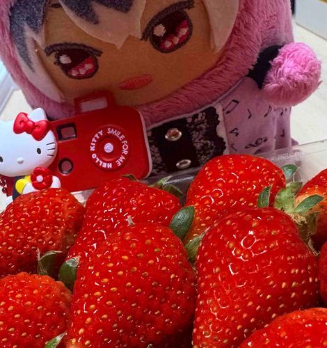 いちごがおいしいきせつだね🍓