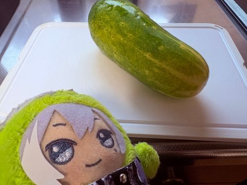 はじめてみるやさいをみつけたよ
きゅうりなんだって🥒