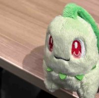 ふんわりチコリータ