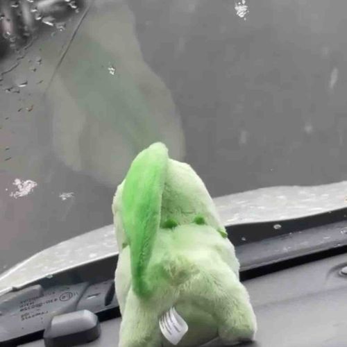 この前おでかけしてたら雪が降ったチコ！お迎えされてから見るの初めてだったチコ…！
こおりタイプは苦手だけど、綺麗だから見るのは好きチコ💚