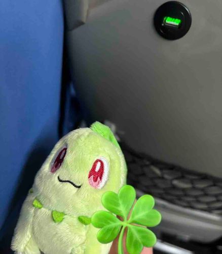東京行くチコ！初旅チコ！ドキドキワクワクチコー！！