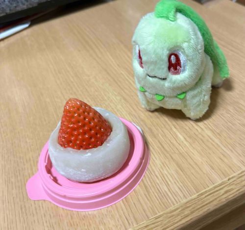 甘くて美味しいチコ🍓💚