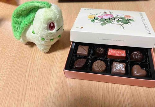おしゃれなチョコチコー！美味しそうチコ💚