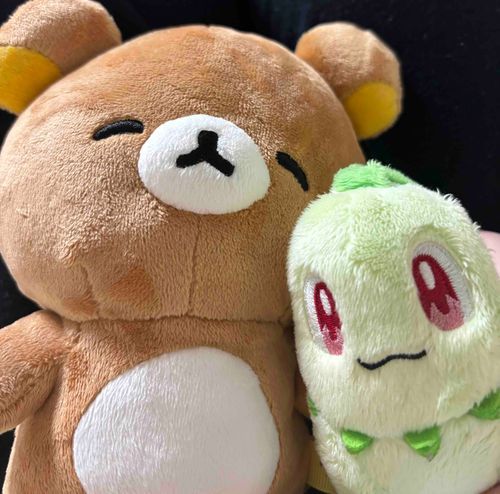 くまちゃんと仲良いんだよ！まったり過ごしてるチコー！