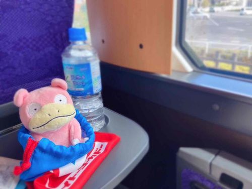 夏の思い出①
特急に乗っておでかけやぁん🚃