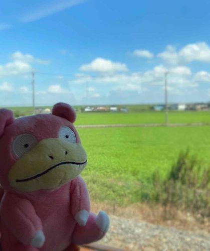 夏の思い出②
のどかやぁん…