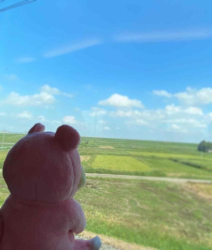 夏の思い出③
とてものどかやぁん…