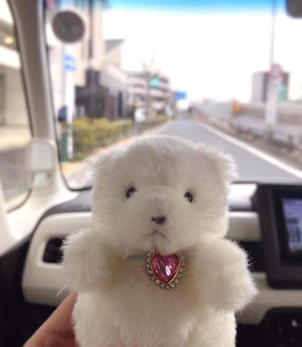 初めて車でお出かけしたよ🚗