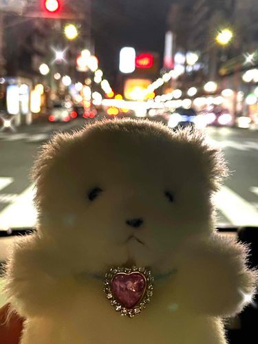 わたしは夜の帝王…🌃🌙*ﾟ