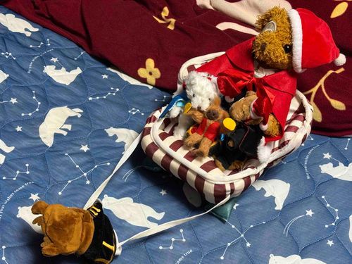 エリックマサンタはいい子にプレゼントを贈りに行くよ