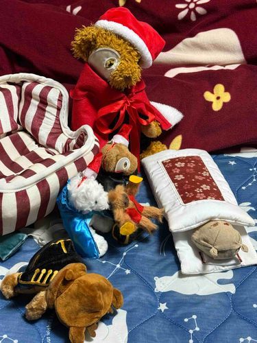 子ファントム、いい子だったから猿ゴールをプレゼントするね
シシャックマトナカイ、ひとりでソリを引いたから力尽きちゃったみたい