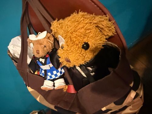 またウナカンツォーネに歌を聞きに行ったよ
ずっと偶数月には必ず行ってるんだ
素敵な歌声♪