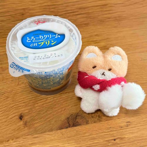 「ﾏﾌﾗｰｱｯﾀｶｲ!!」
あったかくしてプリン買ってきました🍮