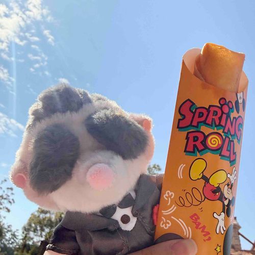 Mr.ビッグ、こちらスプリングロールです