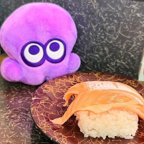 サーモンだね…ﾀｺﾁｬﾝ…